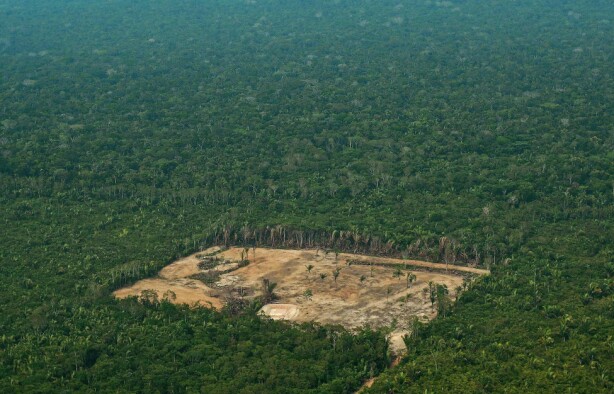 Norske politikere til Amazonas etter knusende rapport